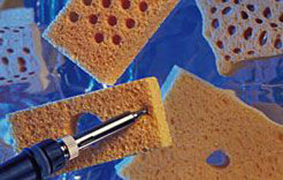 Sponges