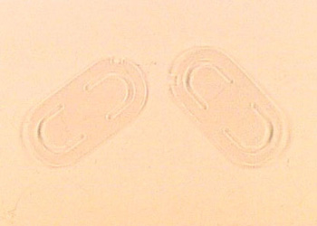 A1231