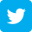 Twitter Share Button